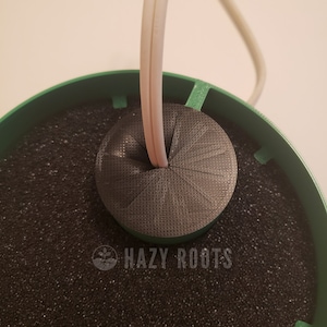 May include: A close-up of a green hydroponic growing system with a black foam base and a white cord running through a black plastic ring. The ring has a circular, patterned design and the text "HAZY ROOTS" is visible on the foam.