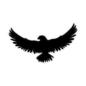May include: Black silhouette of a hawk with wings spread wide, soaring in flight.