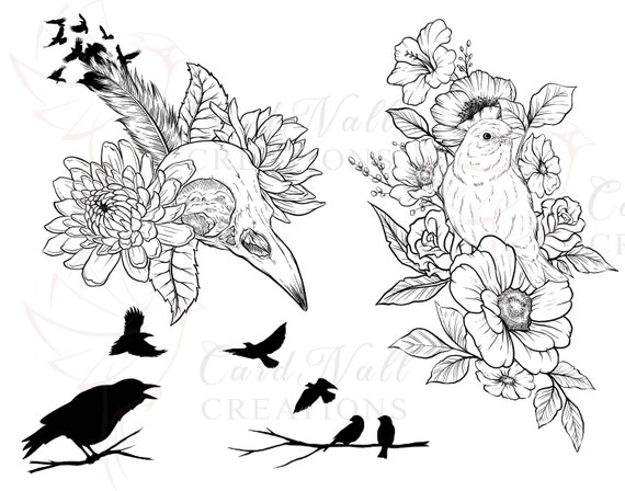 Custom Bird Tattoo Design Sheets Tattoo Drawings Jpeg Bird - Etsy Canada Custom Bird Tattoo Design Sheets Tattoo Drawings Jpeg Bird - Etsy Canada