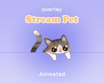 Sovrapposizione animata per streaming / Gatto soriano grigio / Twitch, Youtube, Kick, Streamlabs, StreamElements, OBS