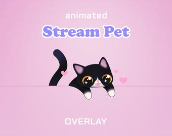 Sovrapposizione animata per lo streaming / Gatto Tuxedo / Twitch, Youtube, Kick, Streamlabs, StreamElements, OBS