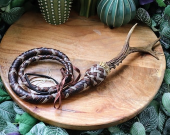 Paracord customizable snakewhip with a coin