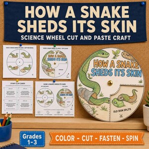 Puede incluir: Un kit de manualidades científicas titulado How a Snake Sheds Its Skin. Incluye hojas impresas con diagramas de una serpiente verde, tarjetas de pistas y una rueda circular terminada con una cubierta giratoria y una ilustración.