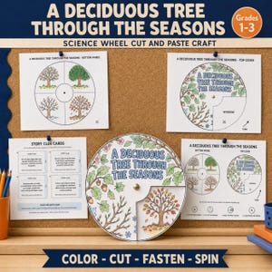 May include: A science wheel cut and paste craft titled A Deciduous Tree Through The Seasons. The set includes printed activity sheets with illustrations of trees in four seasons, story clue cards, and a circular wheel with a rotating top cover.