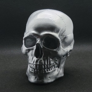 May include: A silver skull sculpture with detailed features, including teeth and eye sockets.