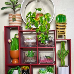 Puede incluir: Una estantería de madera roja con 12 compartimentos, cada uno con una planta en maceta o un terrario diferente. Las plantas incluyen cactus, suculentas y una pequeña tortuga en un terrario. La estantería está decorada con un círculo blanco que cuelga de la parte superior.