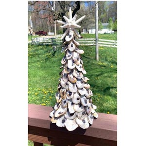 May include: A white oyster shell Christmas tree with a starfish on top. The tree is decorated with white and brown oyster shells.