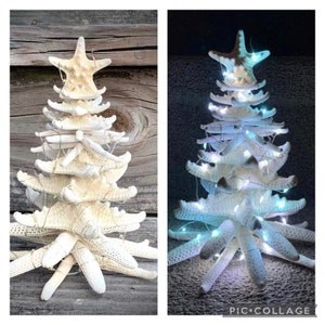 Starfish Tree 7”, OBX,  Family Gift, Coastal Decor for Home, Nautical Gifts for Her, Stocking Stuffer, Genuine Sea Star