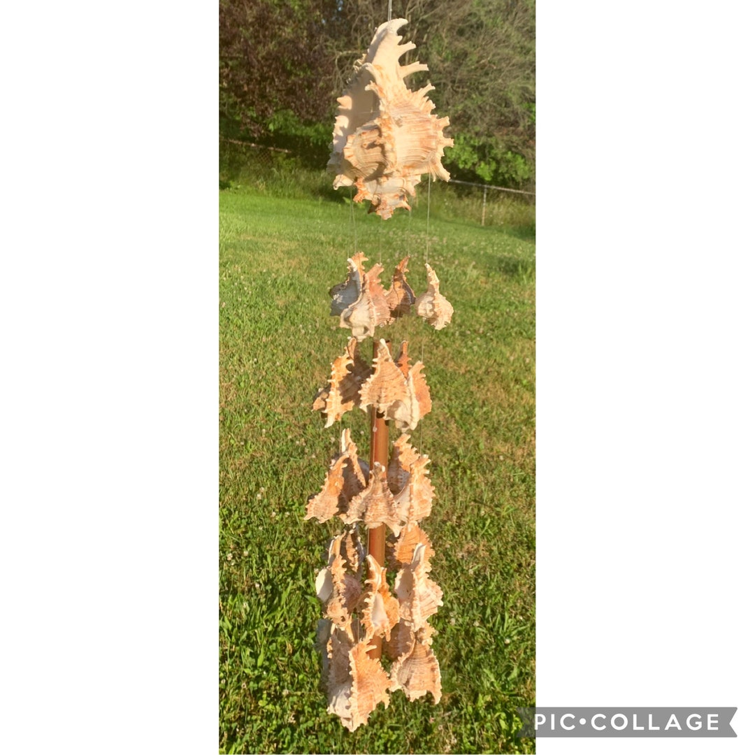 Seashell Wind Chime, Outer Banks, Family Gift, Coastal Decor for Home ...