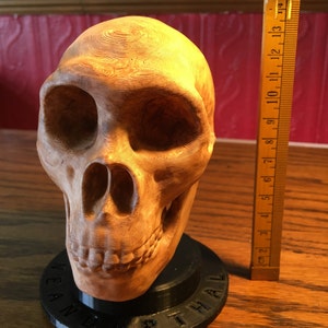 May include: A wooden sculpture of a human skull, approximately 7 inches tall, with detailed carvings and a natural wood finish. The skull is mounted on a black base.