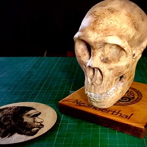 May include: A replica Neanderthal skull on a wooden base with the word "Neanderthal" engraved on it. A black and white image of a Neanderthal is on a round wooden coaster.