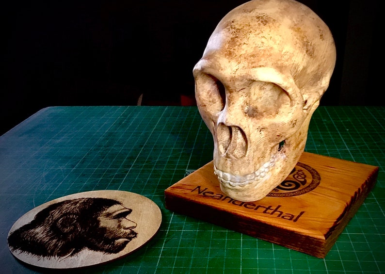 May include: A replica Neanderthal skull on a wooden base with the word "Neanderthal" engraved on it. A black and white image of a Neanderthal is on a round wooden coaster.