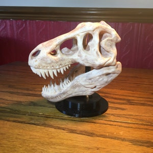 Tyrannosaurus Rex Skull Hand Finished model