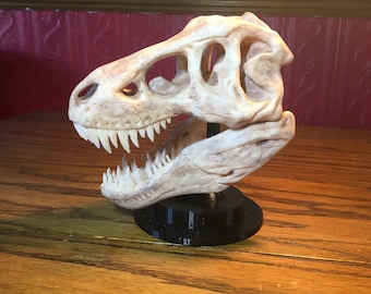 Tyrannosaurus Rex Skull Hand Finished model