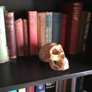 May include: A human skull figurine on a black bookshelf with a row of vintage books. The books have titles like "The Pickwick Papers", "A Tale of Two Cities", "Were-Wolf", "The Count of Monte Cristo", and "The Practical Book of Things to Make and Do".