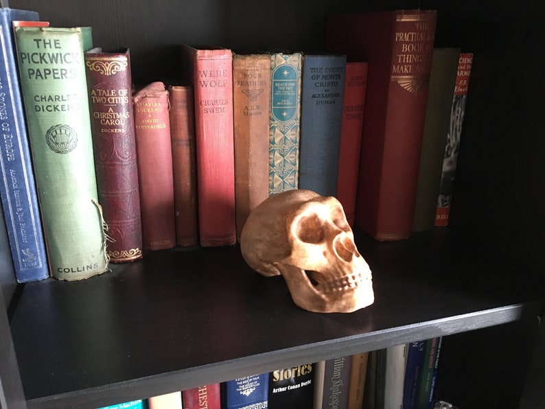 May include: A human skull figurine on a black bookshelf with a row of vintage books. The books have titles like "The Pickwick Papers", "A Tale of Two Cities", "Were-Wolf", "The Count of Monte Cristo", and "The Practical Book of Things to Make and Do".