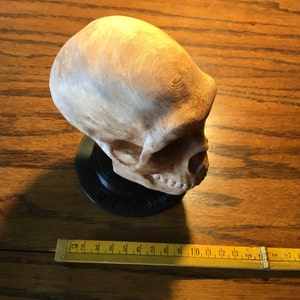 May include: A wooden sculpture of a human skull with a detailed, textured surface. The skull is mounted on a black base with the word "MEAN" inscribed on it.