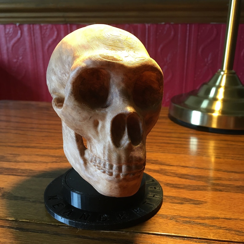 May include: A detailed wooden replica of a human skull, painted in a light brown color, sitting on a black base with the words "MEAN IS WHAT HAL"
