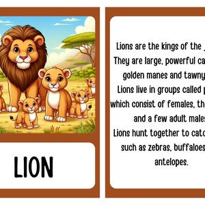 30 Tiere Karteikarten mit Lebensräumen - 30 editierbare Tier Karteikarten mit Lebensräumen - Tier Karteikarten für Kinder