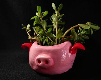 Handmade Ceramic Pot Piggy