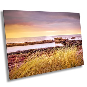 Auchmithie Old Harbour with Marram Grass and Crashing Waves, Coastal Wall Art from Angus, Scotland, Rustic Beach Landscape Photo Home Decor.