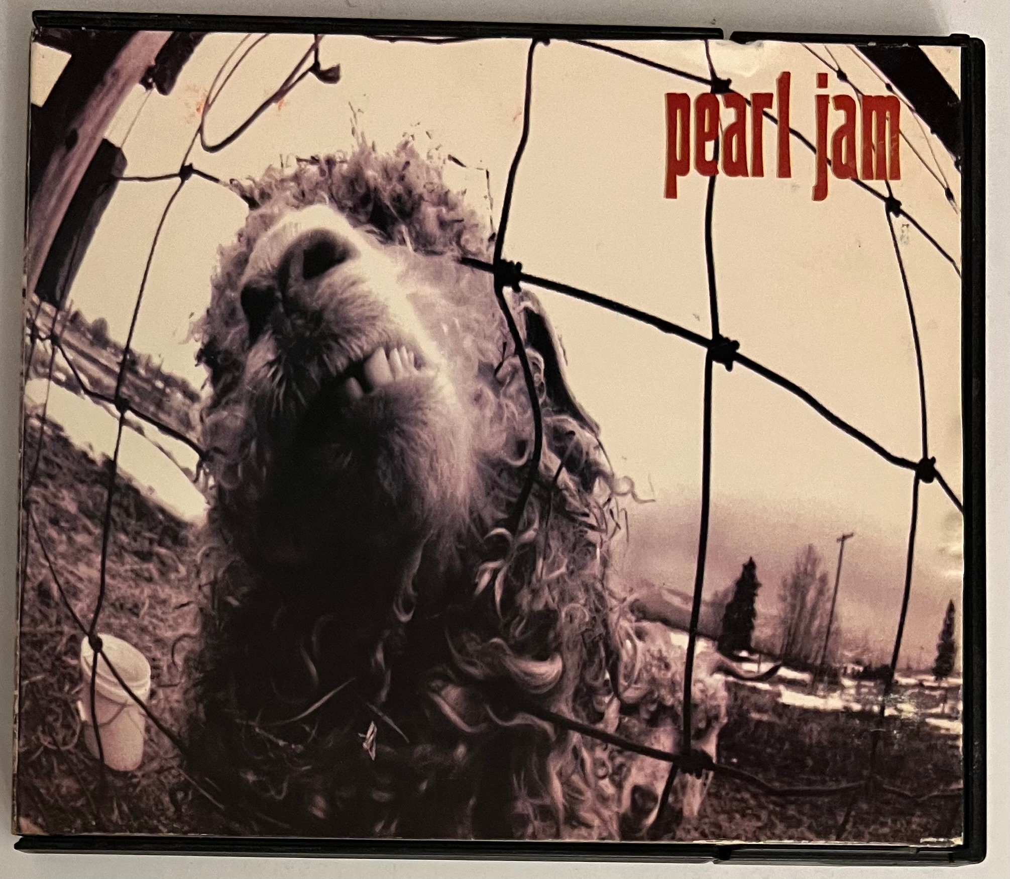 PEARL JAM  /VS. /国内盤 / CD /VS.表記なし PEARL JAM /VS. /国内盤 / CD /VS.表記なし