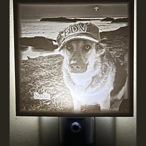 Personalized Pet Night Light – Custom Photo Lithophane, 3D Printed Memorial Gift, Dog or Cat Tribute, Unique Pet Loss Keepsake