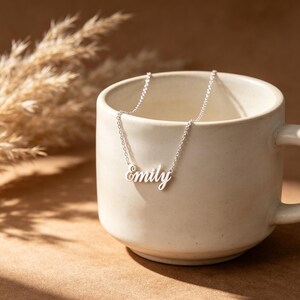 May include: A silver-colored necklace with the name "Emily" in cursive script. The necklace is resting inside a cream-colored mug. The background features dried plants and a brown surface.