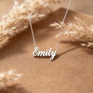 May include: A silver-colored necklace with the name "Emily" in a cursive font. The necklace is displayed on a brown surface, with dried plants in the background. The chain is delicate and the name is the focal point.