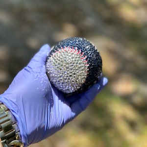 Bling Baseball