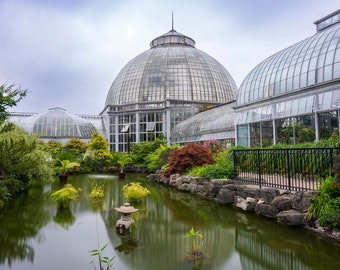 Anna Scripps Whitcomb Conservatory, Detroit, Michigan - Detroit Print, Fine Art Print, Wall Art, Home Décor, Gift