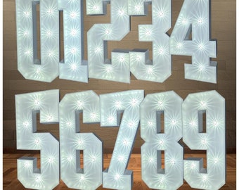 4ft LED light up numbers **FOR SALE**