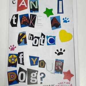 can i take a photo of your dog? (a polaroid photography zine)