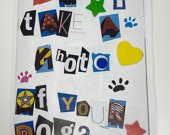 can i take a photo of your dog? (a polaroid photography zine)