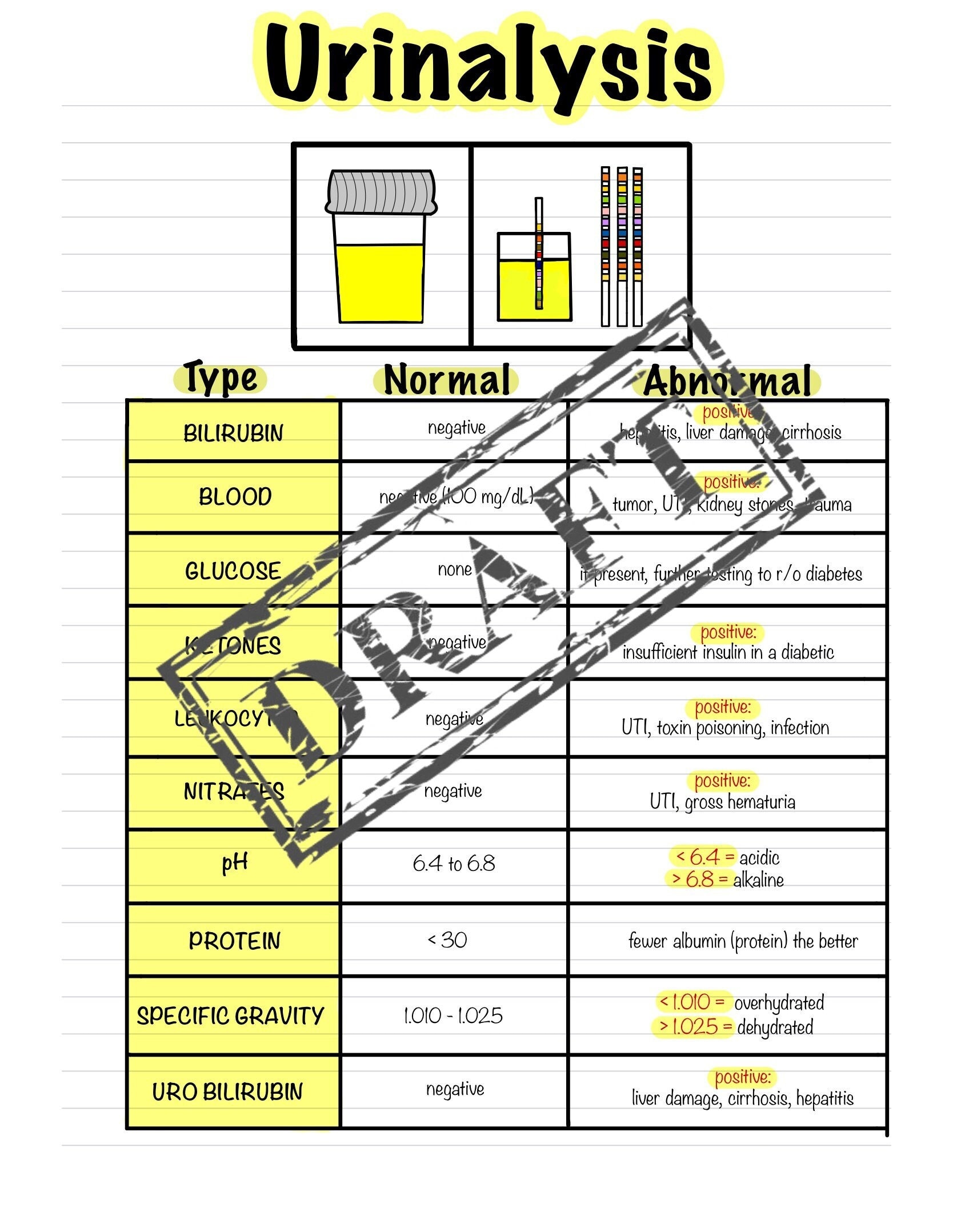 Comprehensive Urinalysis Cheat Sheet With Images Medi vrogue.co