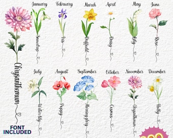 May include: Watercolor illustration of birth month flowers, including Chrysanthemum, Iris, Rose, and Holly. Each flower is labeled with its corresponding month. The image includes the text "Birth Month Flowers," "Water Color," and "High Quality PNG Clipart."