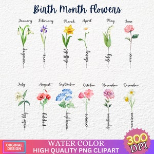 Imágenes prediseñadas de flores del mes de nacimiento, paquete PNG floral antiguo, kit de regalo creador de estampado de flores del mes de nacimiento de bricolaje, gráfico de flores, imágenes prediseñadas botánicas