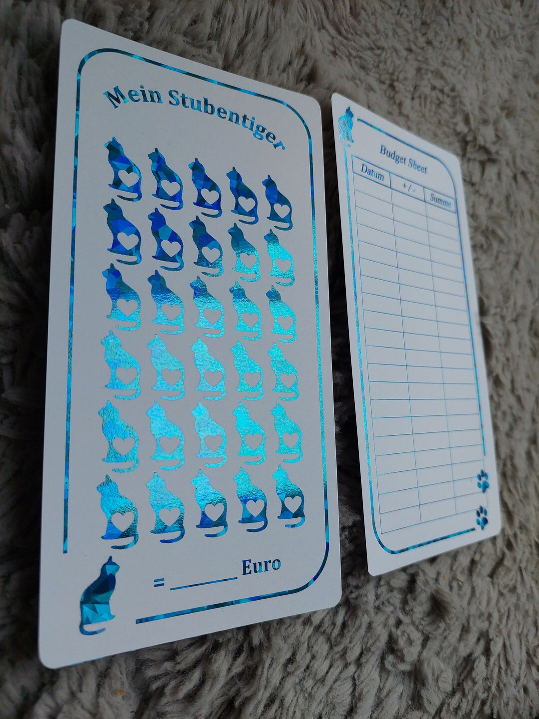 My House Cat Challenge for the A6 Budget Binder in Your Desired Color