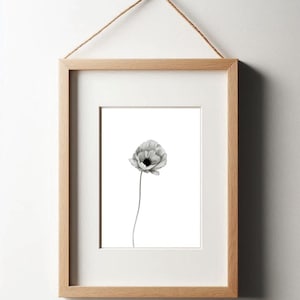 Poppy (Flower) Wall Art Print | Floral Illustration Wall Decor | A5 A4 A3 Unframed Prints