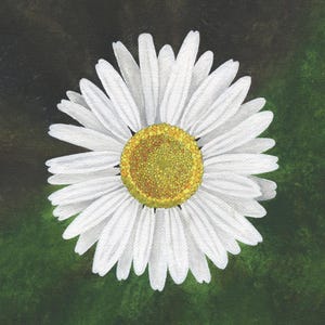 Daisy (Flower) Wall Art Print | Floral Illustration Wall Decor | Digital Download Print