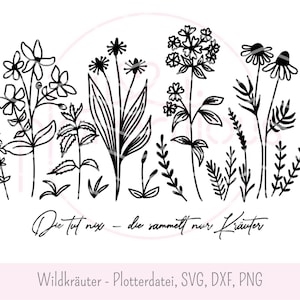 Ervas selvagens - arquivo plotter SVG DXF PNG ervas medicinais flores silvestres flor prado farmácia de ervas coleta de ervas gravação a laser uso comercial