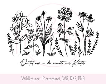 Wild herbs - plotter file SVG DXF PNG medicinal herbs wildflowers flower meadow herbal pharmacy herbs collecting laser engraving commercial use