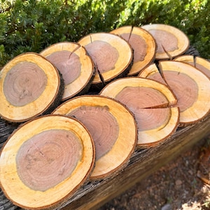 2&quot; - 4&quot;+ Cherry Wood Slices, Wood Cookies, Rustic Centerpieces, Coasters, Wedding Favors, Craft Wood, DIY Supply