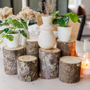 May include: A decorative table setting featuring small potted plants, a vase, and a lit candle. The plants are in white pots atop wooden log slices. A cream-colored vase and a candle in a glass holder with a gold rim are also present.