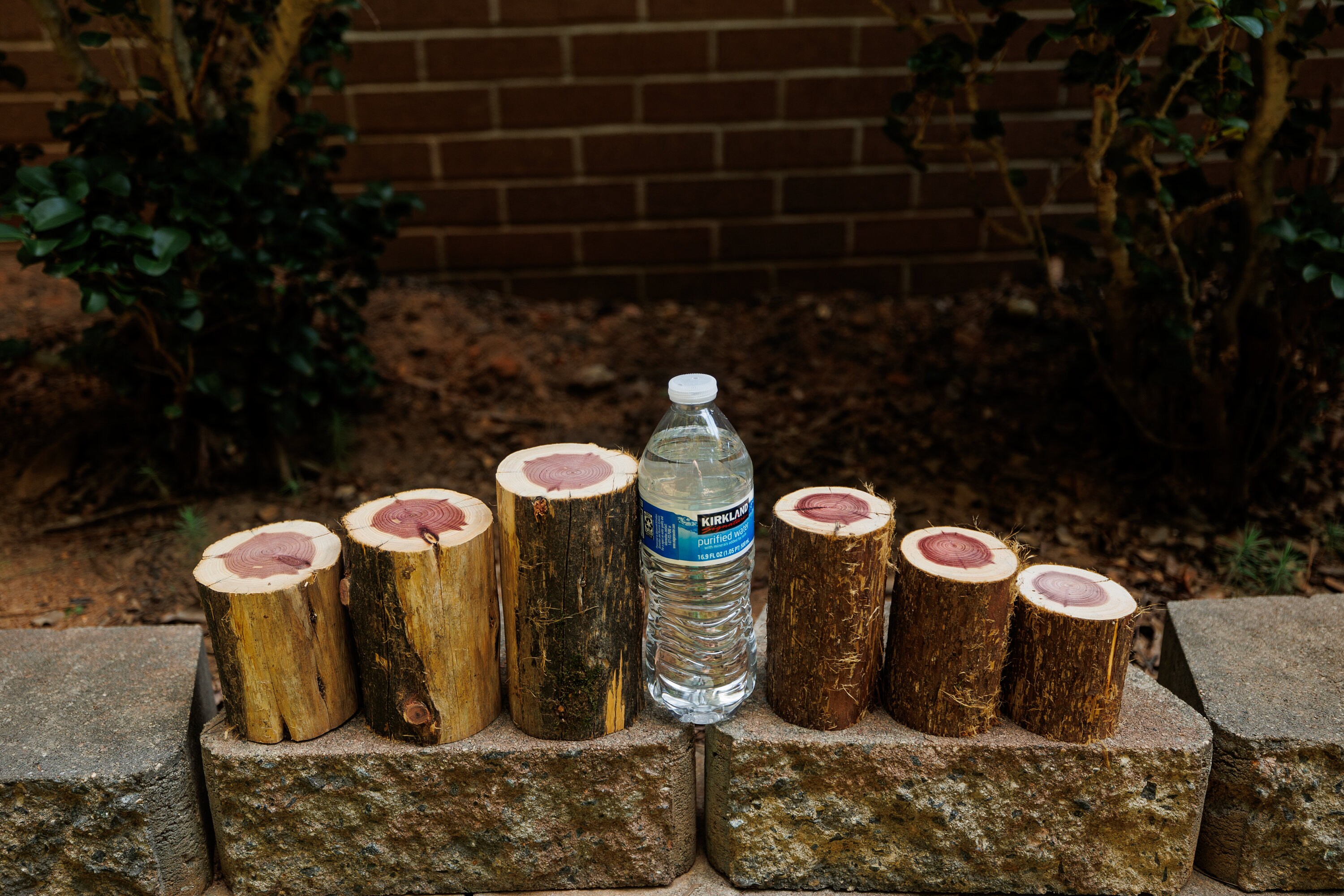 Organic Red Cedar Log Stumps Set of 3 Rustic Wedding Etsy