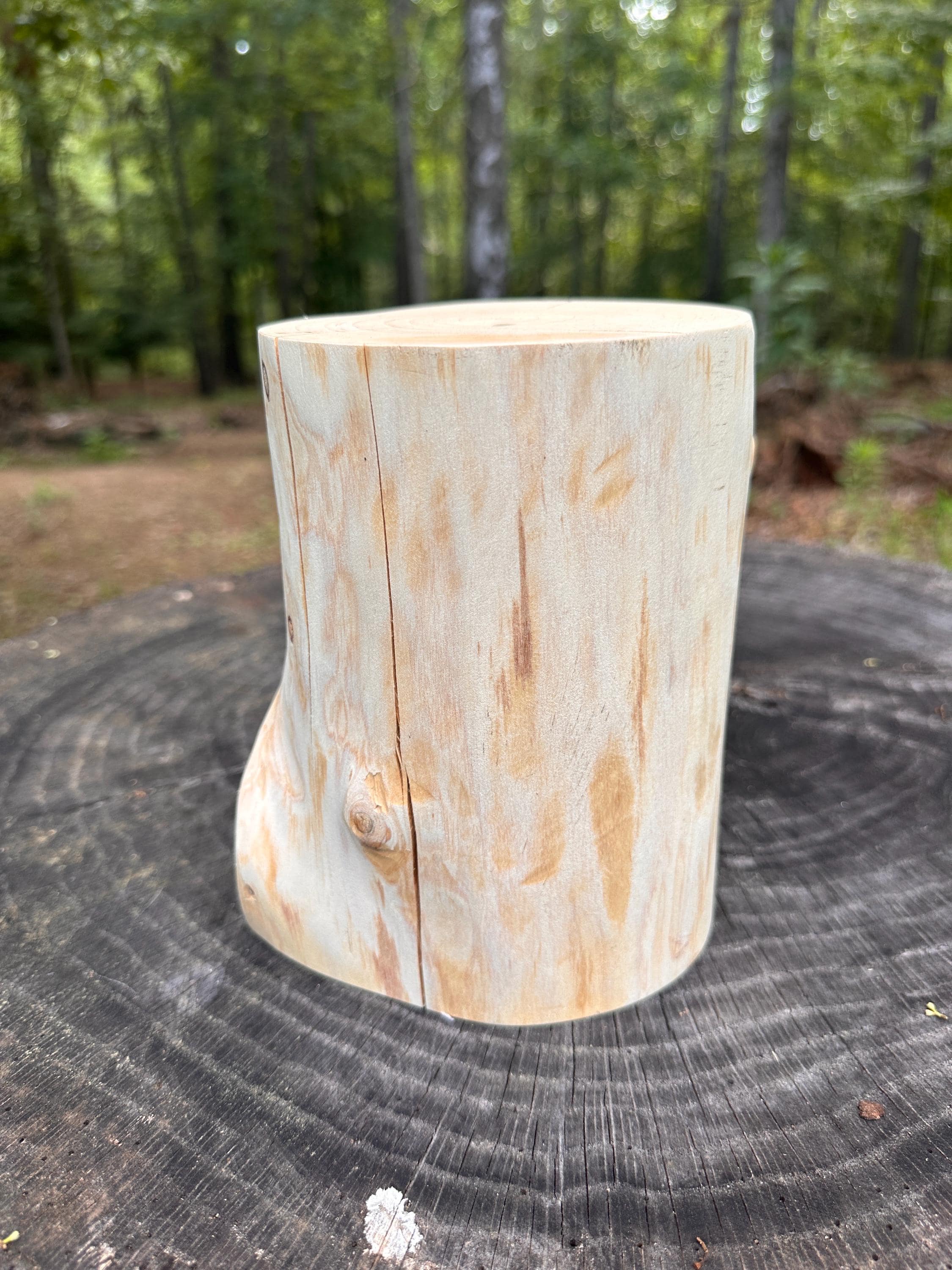 Debarked Cypress Tree Log Stump | Rustic Wedding Decor | Rustic Table Centerpiece | DIY Supply