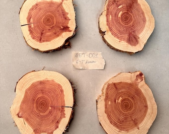 Red Cedar Set of 4 Wood Slices, Imperfect 5&quot;-9&quot; Rounds, Irregular Shaped Centerpieces, Wood Cookies, Coasters, DIY Craft Wood