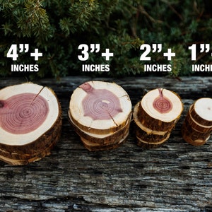 May include: Four wooden slices of cedar wood, stacked in order of size, with the largest slice being 4" in diameter and the smallest being 1". The wood is a light brown color with reddish-brown rings.