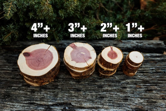 Unfinished Wooden Circles 8 Inch, Pack Of 25 Round Wood Plaques Unfinished Wood Circles For Crafts, Charcuterie Board, By Woodpeckers