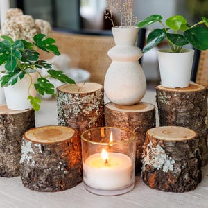 2" - 4" Wild Cherry Wood Stumps, Organic Rustic Log Stumps, Rustic Wedding Centerpieces, Farmhouse Home Decor